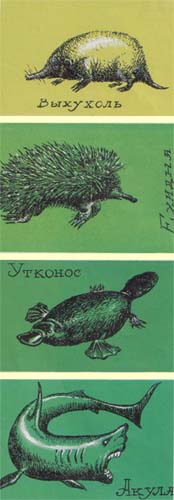 Самые древние обитатели планеты Самые древние обитатели планеты